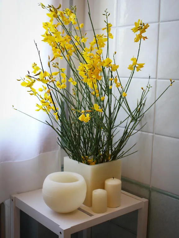 Bed & Breakfast Bed And Breakfast 22 Garibaldi Home Riccione